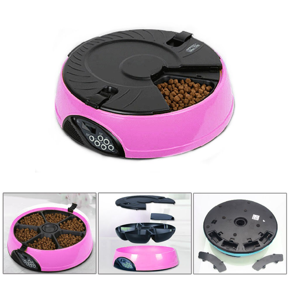 6 Meal Automatic Pet Feeder Dog Cat W Voice Recording Shopee