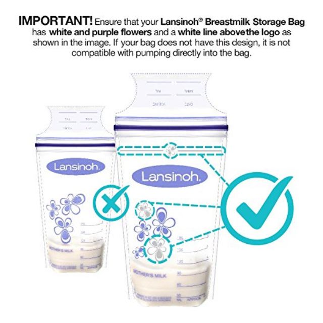 lansinoh storage bags 100