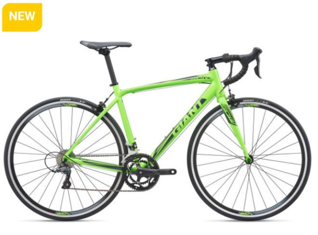 new giant road bikes 2019