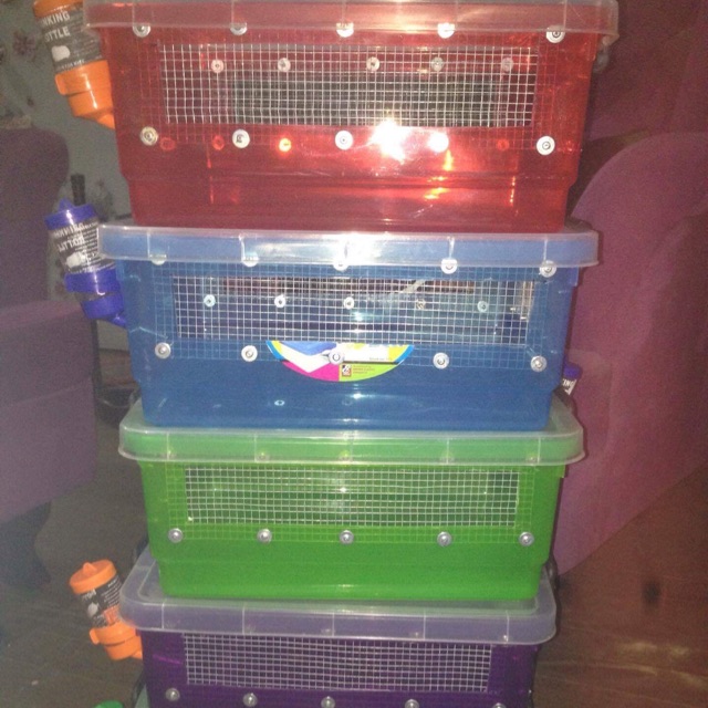 hamster cage shopee