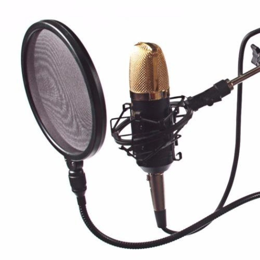Portable Studio Microphone | Shopee Philippines