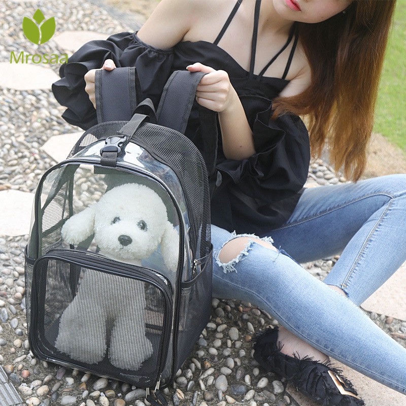 backpack for cats to wear