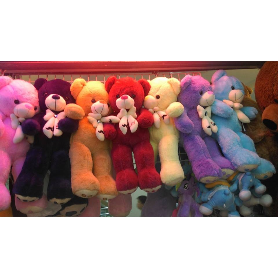 2 feet teddy