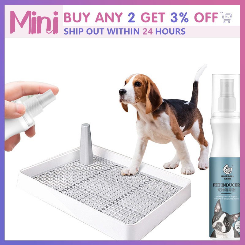 Are Guide Dogs Toilet Trained