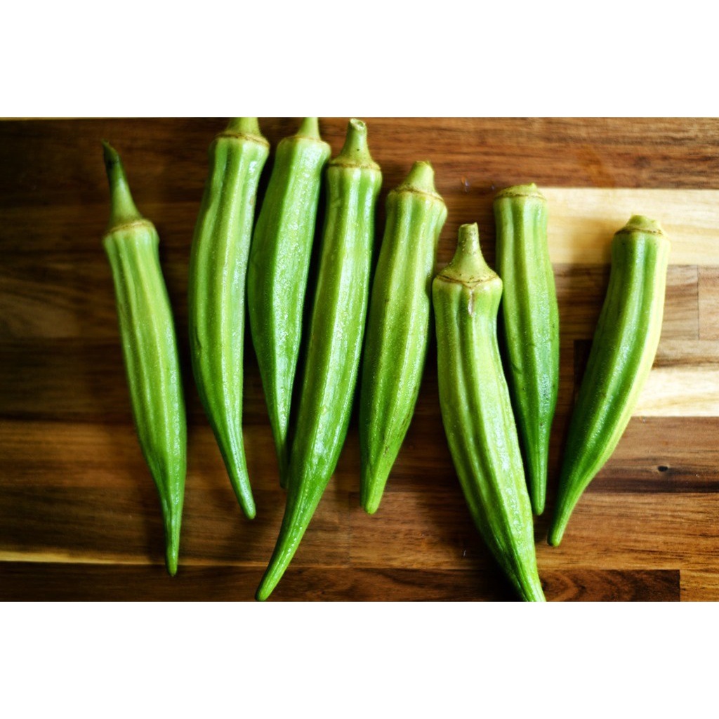 Green Okra Vegetable Seeds ( 50 seeds ) Basic Farm House Shopee Philippines