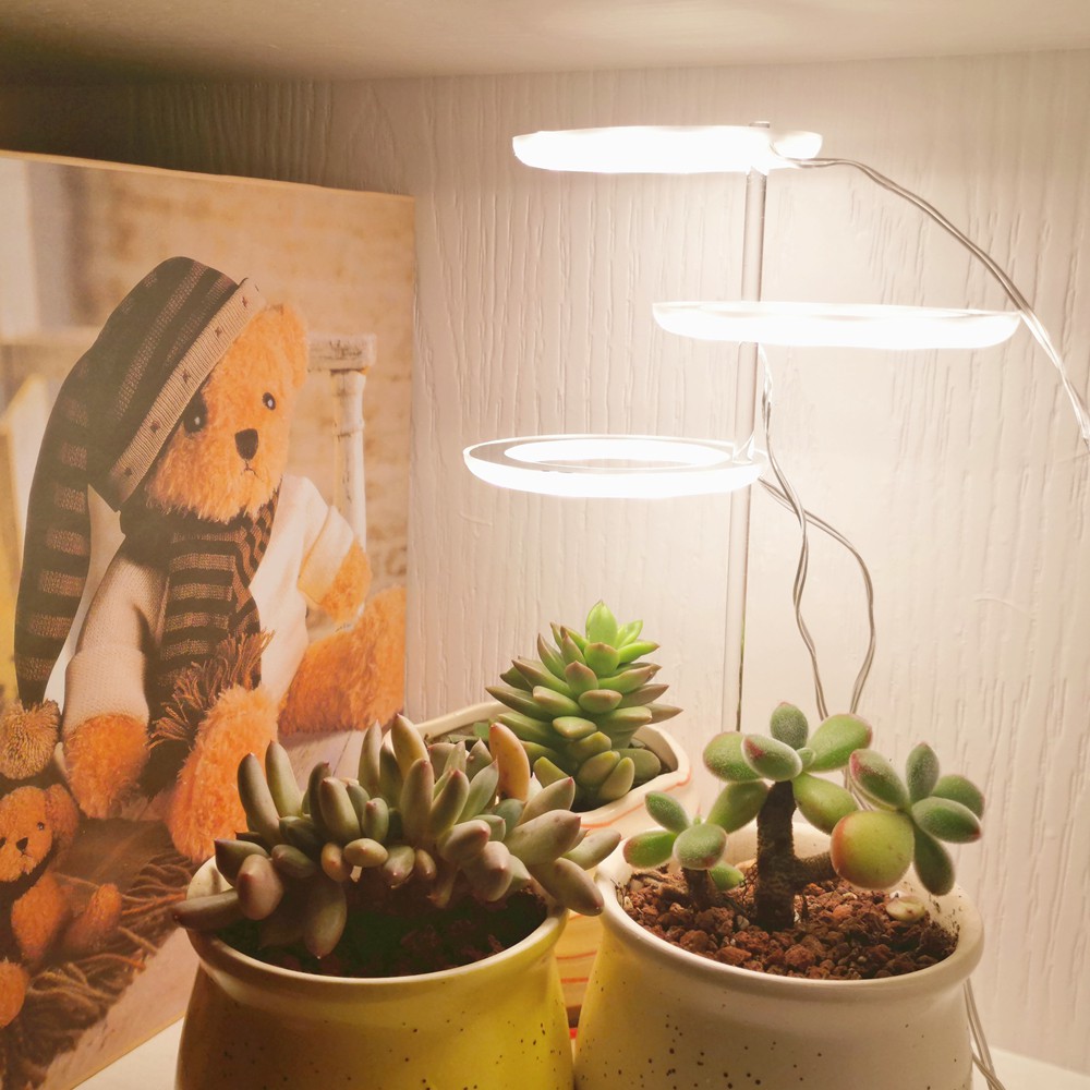 5V LED USB Angel Ring Plant Grow Light For Succulent Full Spectrum Phyto  Lamp Sunlike Indoor Flower | Shopee Philippines