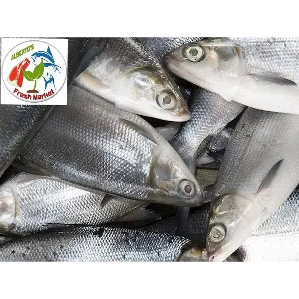 Seafoods Fresh Bangus 2 Pcs Milk Fish1kg Shopee Philippines