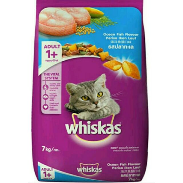 Whiskas Dry Cat Food | Shopee Philippines