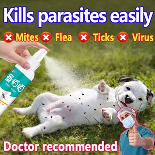 100% Authentic Pet flea spray Tick and flea spray 100ml Anti flea and tick remover for Dogs Cats