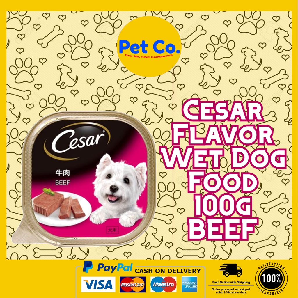 is cesar dry dog food good for my dog