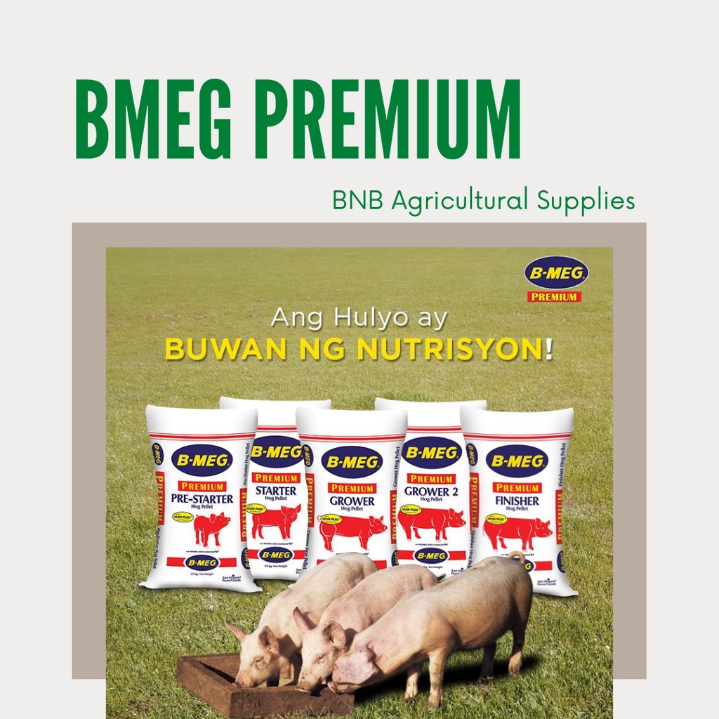 shift-to-hog-grower-feeds-ang-bilis-lumaki-ng-mga-biik-ultrapak