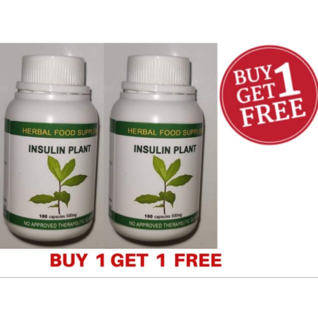 Insulin Plant Herbal 100Capsules Buy 1 Take 1 Free
