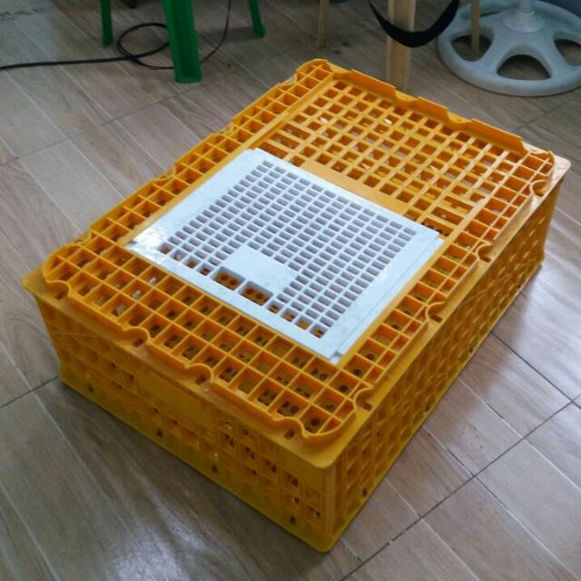2 pcs. Heavy Duty Live Chicken Crate Shopee Philippines