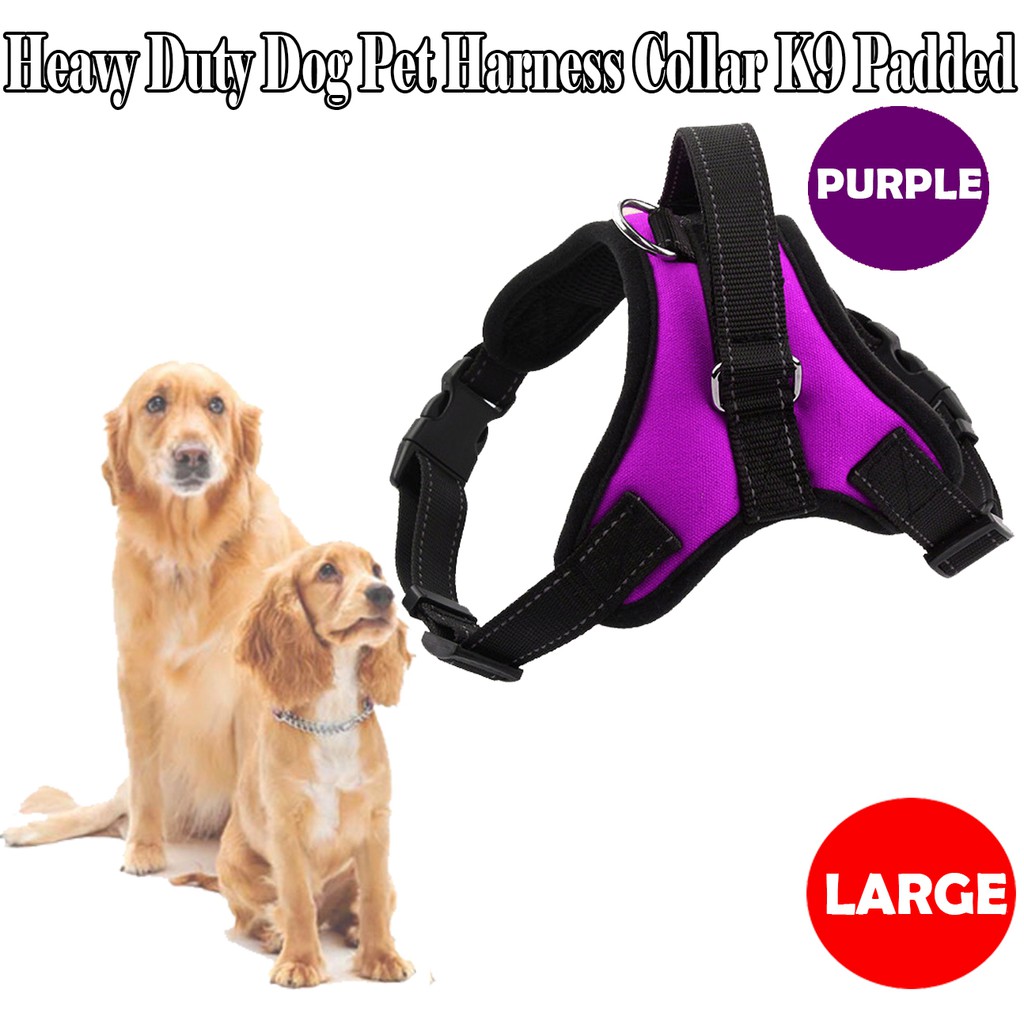 heavy duty dog collars and leashes