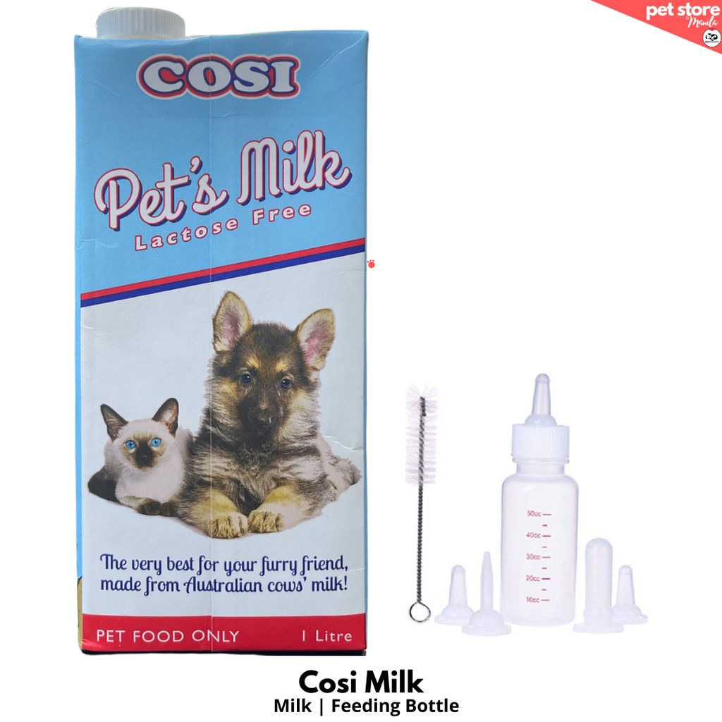 Are Dogs And Cats Lactose Intolerant