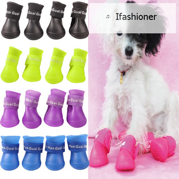 dog water shoes