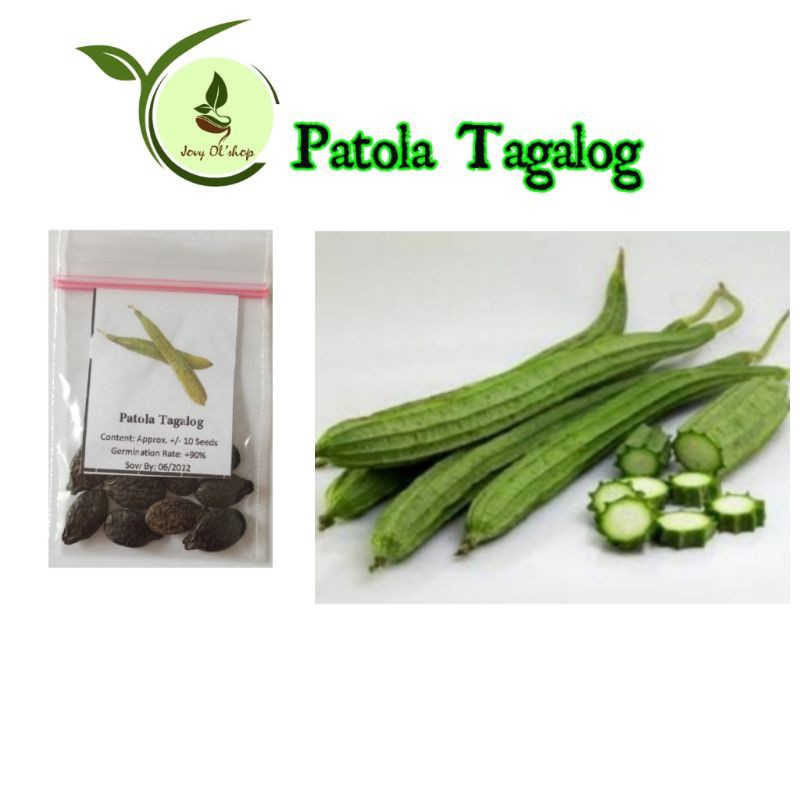 patola-tagalog-vegetable-10-seeds-shopee-philippines