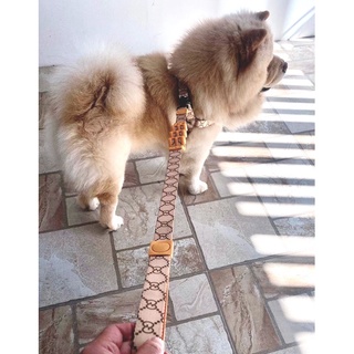 [COD❗️CLEARANCE SALE ❗️Shock Absorber Dog Leash & Harness (Z luxury) for large breeds