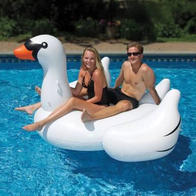 giant swan float