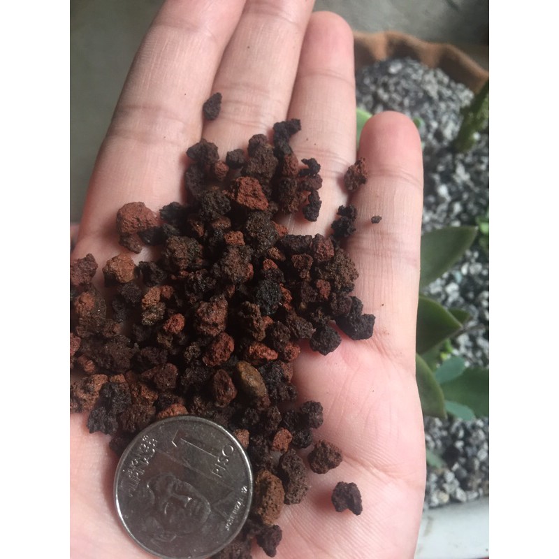Lava Rocks 1kg/pack | Shopee Philippines