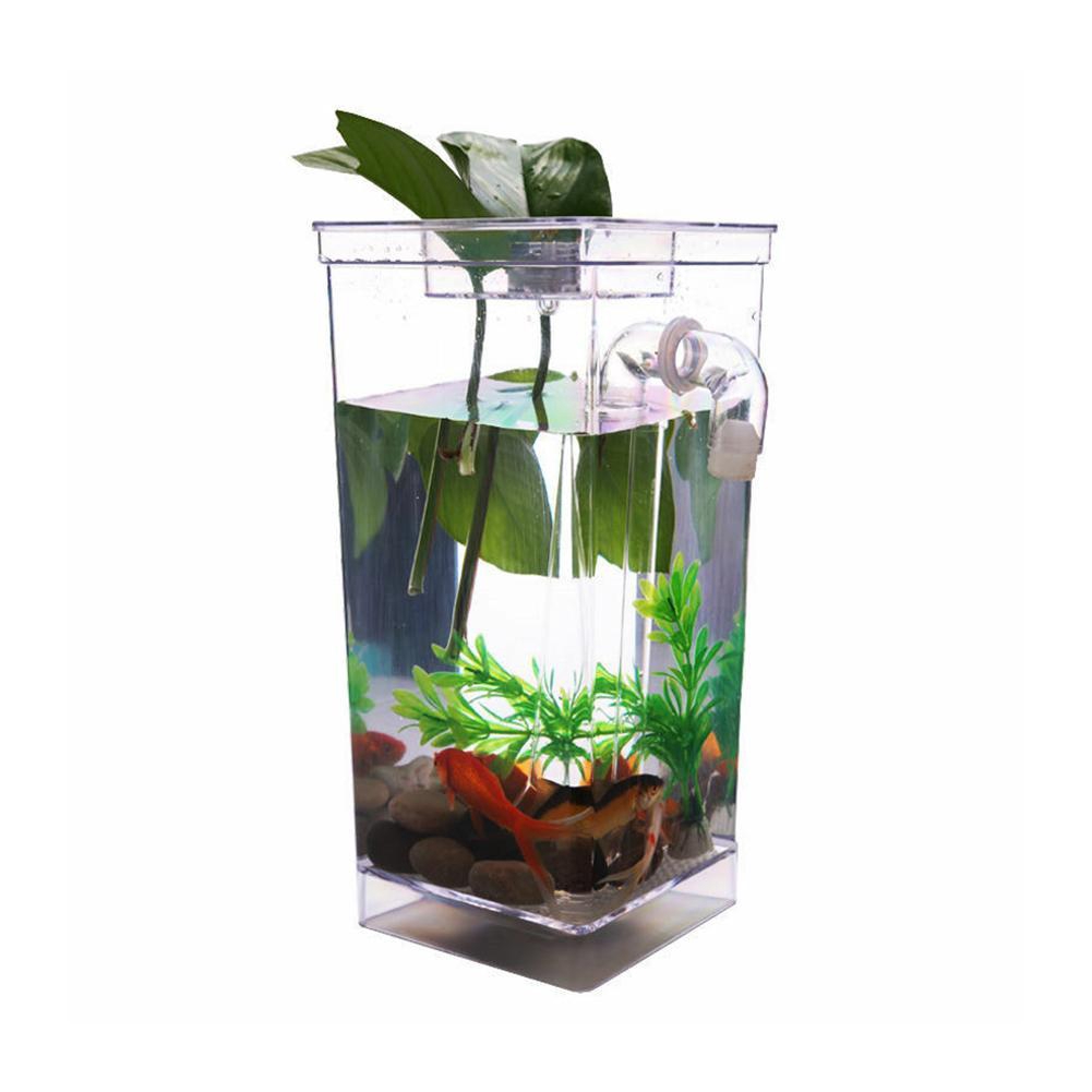 mini bowl aquarium
