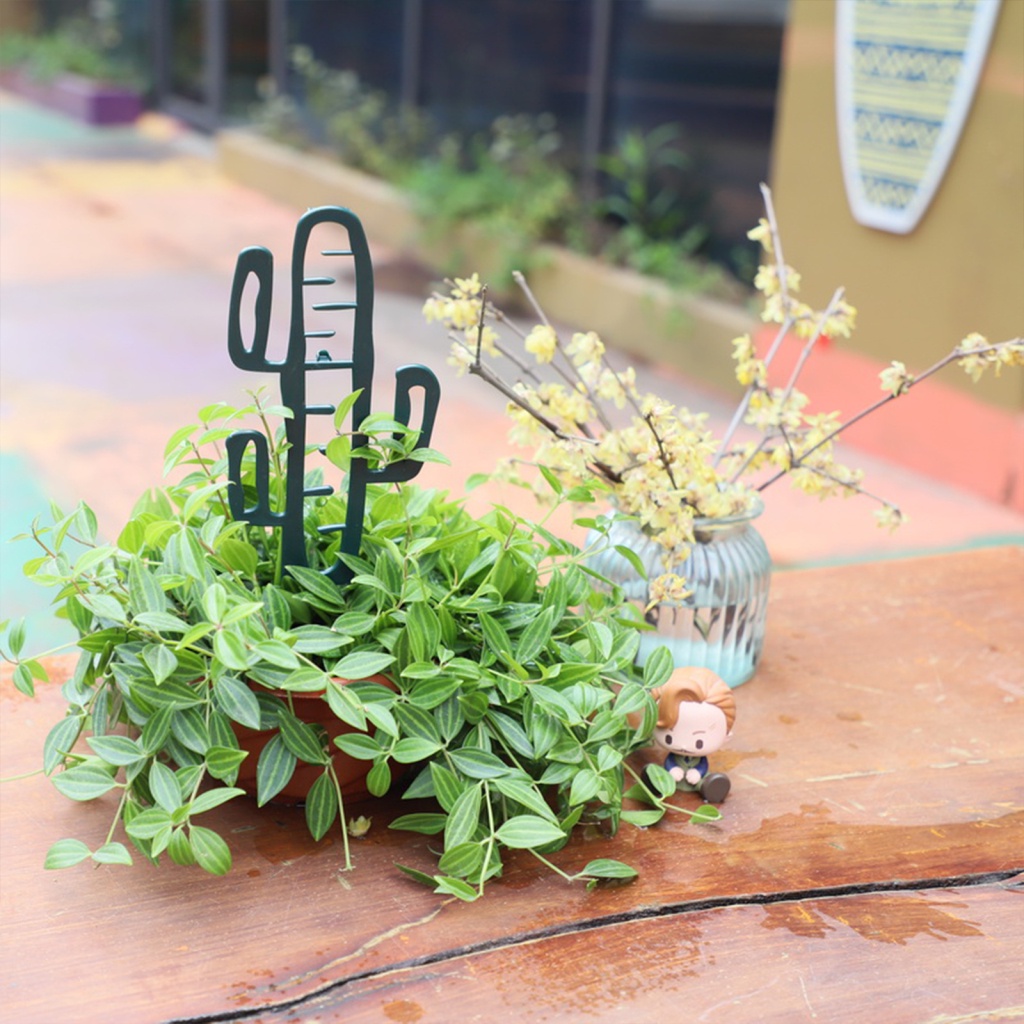 26cm Climbing Frame Plant Support For Cactus Monstera Rack Frames ...