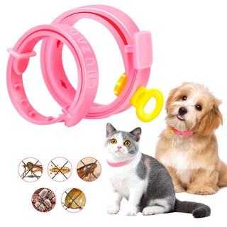 Pet Dogs Collar Adjustable Anti Flea Lice Mite Tick Remove Strap Shopee Philippines