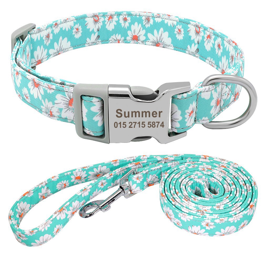 teal dog collar