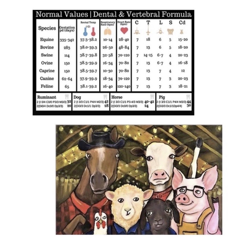 Doctor of Veterinary Medicine | Normal values | Dental & Vertebral ...