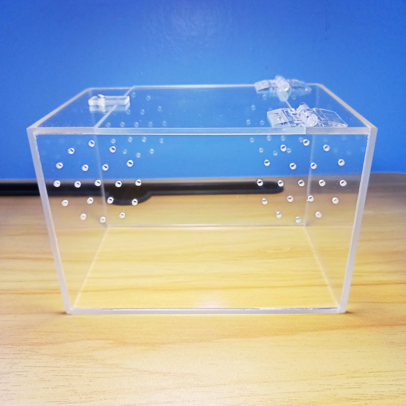 4 by 4 by 6 acrylic enclosure for tarantulas and other exotic pets ...