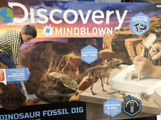 discovery mindblown dinosaur fossil dig