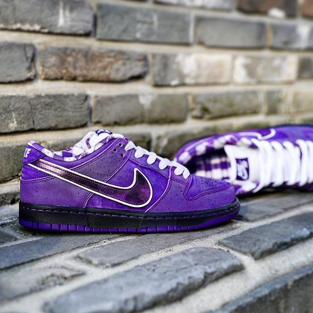 nike sb dunk low pro purple lobster