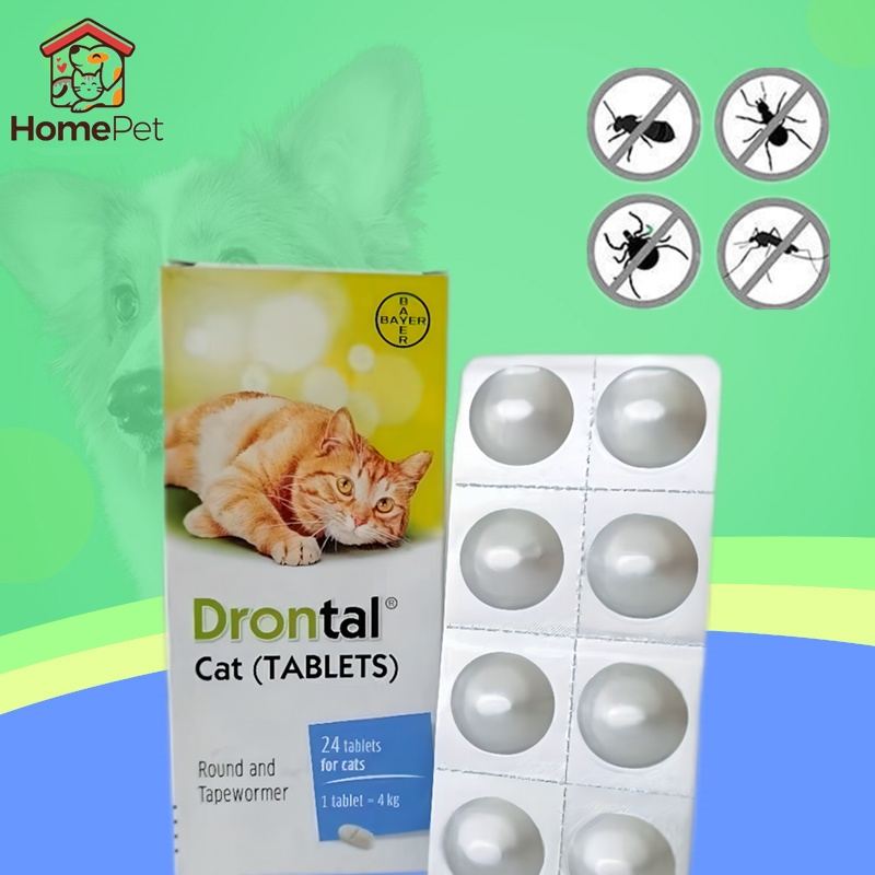 Drontal Cat 1 Box of 24 Delicious Deworming Tablets Cat Deworming Tablets #1