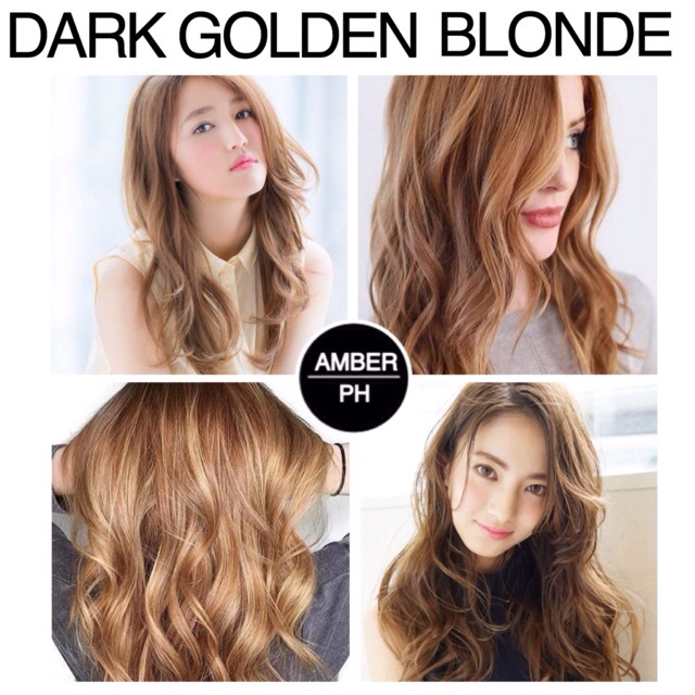 Dark Golden Blonde Shopee Philippines