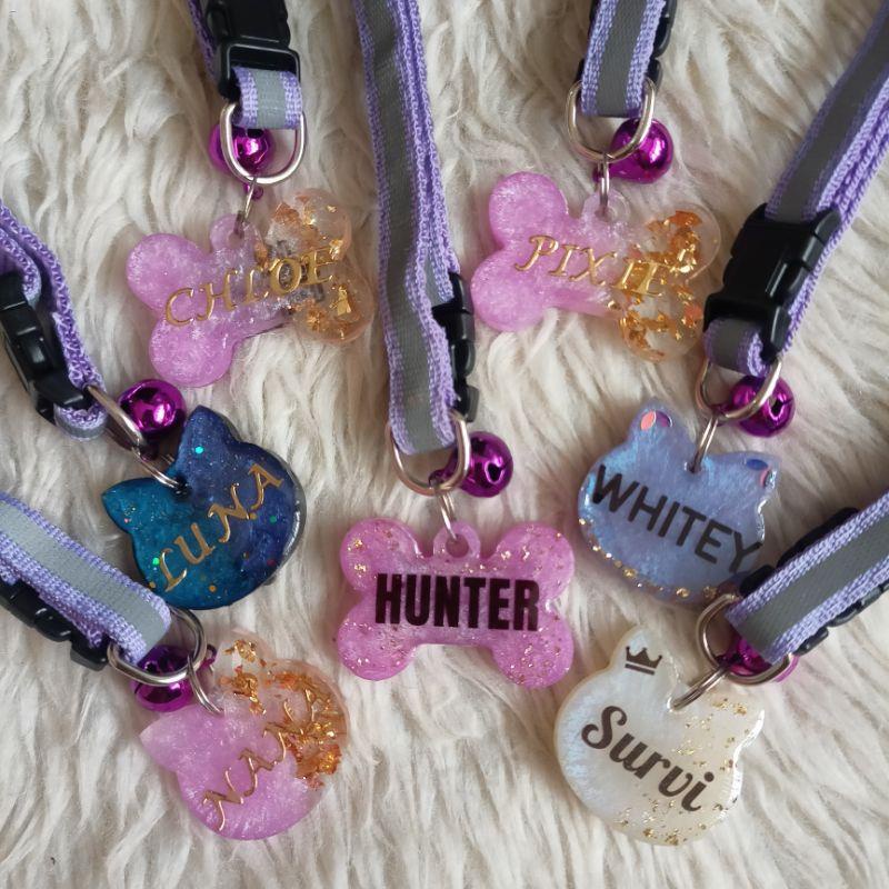 Customized Resin Dog and Cat NAMETAG - with collarcod