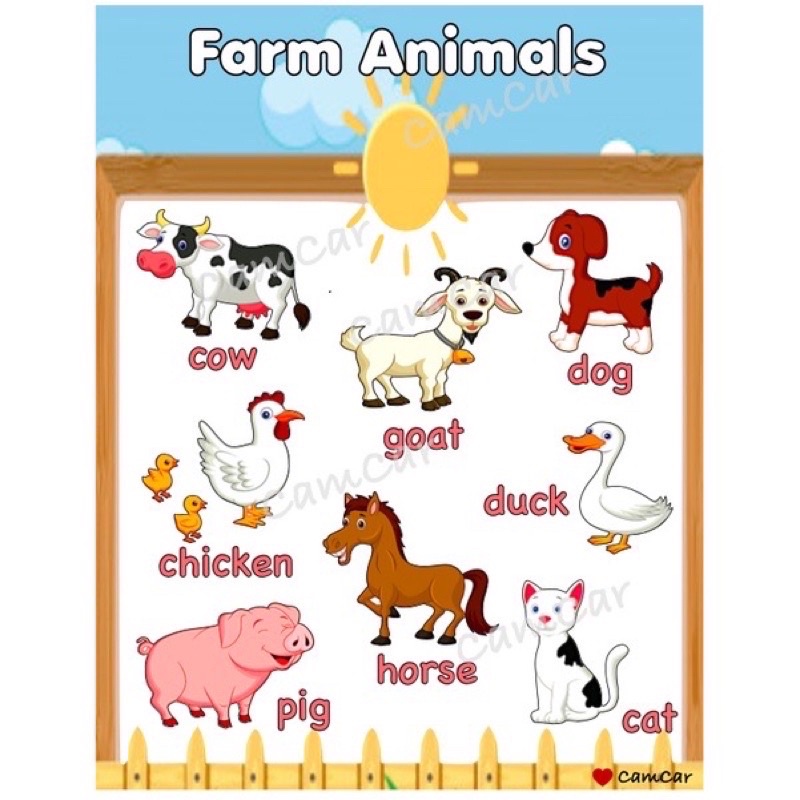 Farm, Water, and Air Animals Laminated Educational Wall Chart | Shopee ...