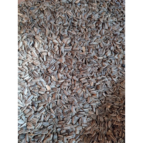 SUNFLOWER SEED FOR BIRDS Stripe (1Kg repacked) Shopee Philippines