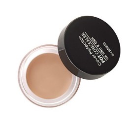 the saem cover perfection pot concealer