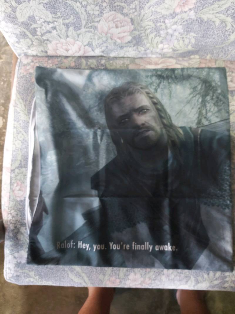 Hey You Youre Finally Awake Skyrim Meme Gdu Soft Decorative Throw Pillow Cover For Home 45cmx45cm 18inchx18inch Pillows Not Included Shopee Philippines