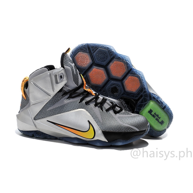 lebron james 12s