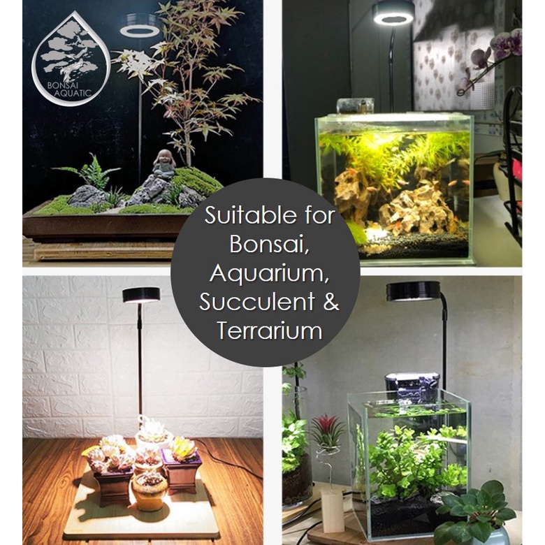 LED Light Stand with Wooden Base for Indoor Succulent Plant Display, Wabi Kusa, Jarrarium, Mini Bett #3