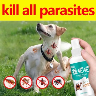 Tick and Flea Spray Remover 100ml Suitable for Dogs and Cats Plant-based Formula Doesn't Hurt