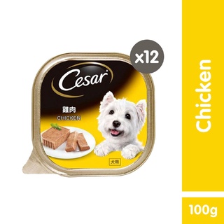 CESAR Wet Dog Food - Premium Dog Food in Chicken Flavor (12-Pack), 100g.