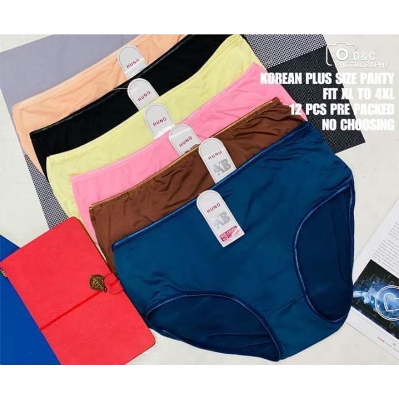 1 Dozen/12 pcs pre packed Korean Underwear/panty Plus size fit to XL UP ...