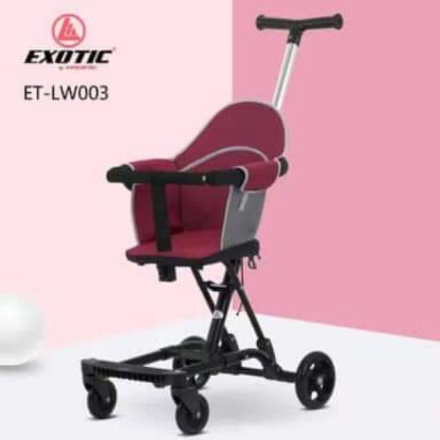 baby 2 in 1 stroller