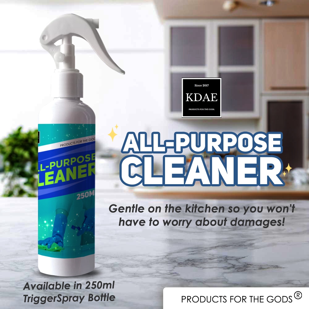 KDAE All-Purpose Cleaner 250 ml | Shopee Philippines