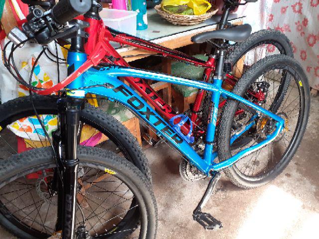 foxter 29er 2019