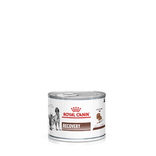 Royal Canin Recovery Food WET 195g for CANINE AND FELINE