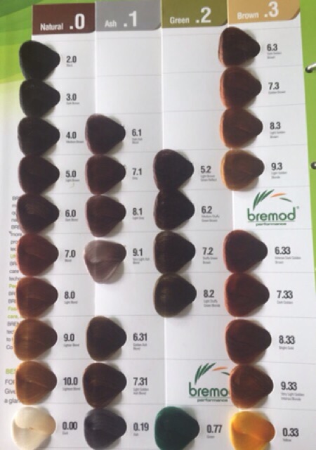 Bremod Hair Color 100ml Shopee Philippines