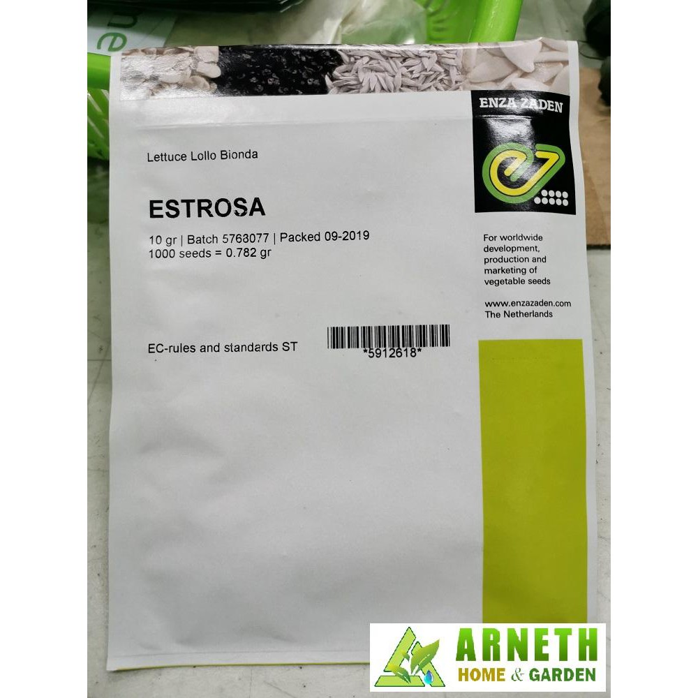 Estrosa Lollo Bionda Lettuce Seeds By Enza Zaden Shopee Philippines 2407